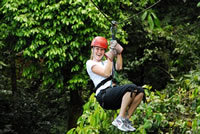 Canopy (tyrolienne) -Costa Rica