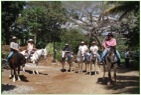 Equitation Naranjo Costa Rica