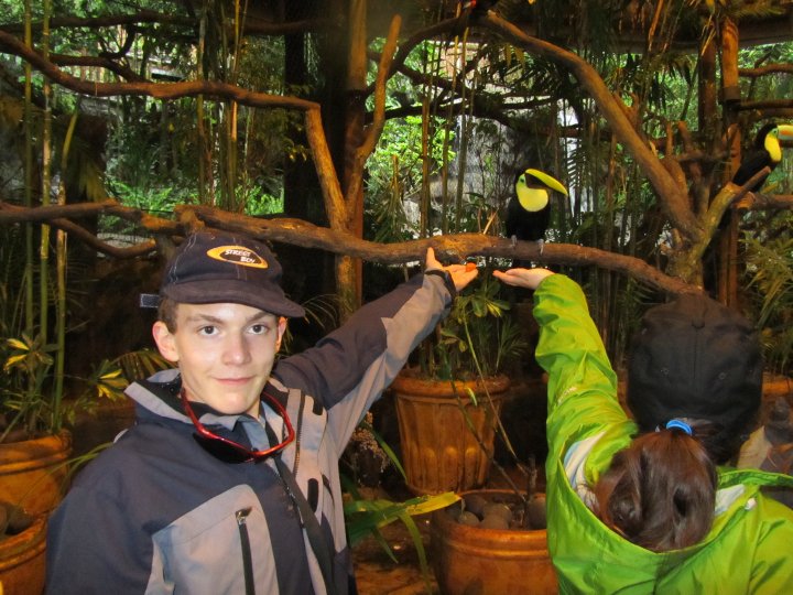 Camp d'été au Costa Rica - Toucan au jardin de la Paz