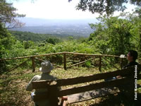 Bosque del nino - Costa Rica