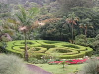 Jardin botanique - Costa Rica