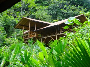 École de langue Amazonie ( jungle) en Equateur