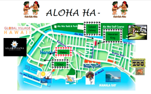 Plan Aqua Palm