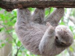 Séjour de 10 jours - Découverte du Costa Rica