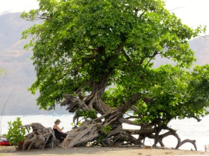 Playa del coco, Costa Rica