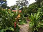 école dans la jungle