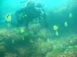 Immersion espagnole et plongée sous-marine en Equateur