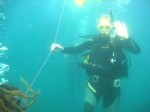 Immersion espagnole et plongée sous-marine en Equateur