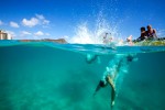 immersion anglaise à Hawaii